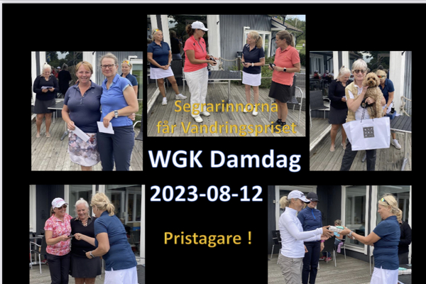 Damernas Dag 2023-08-12 på Waxholms Golfklubb.