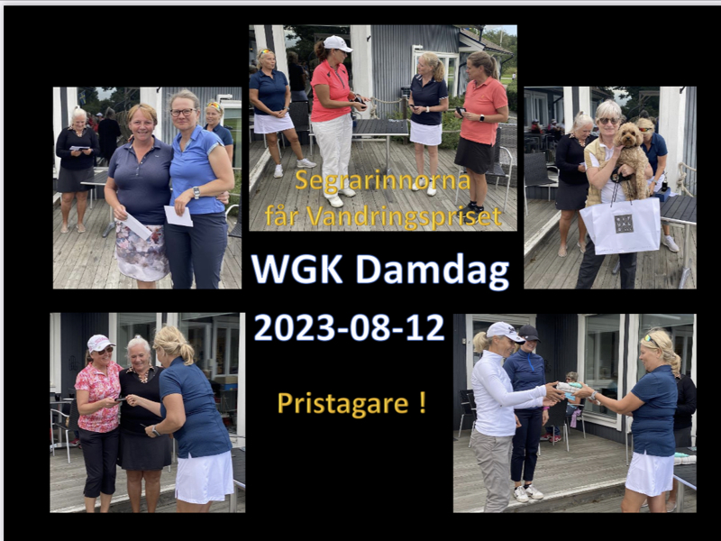 Damernas Dag 2023-08-12 på Waxholms Golfklubb.