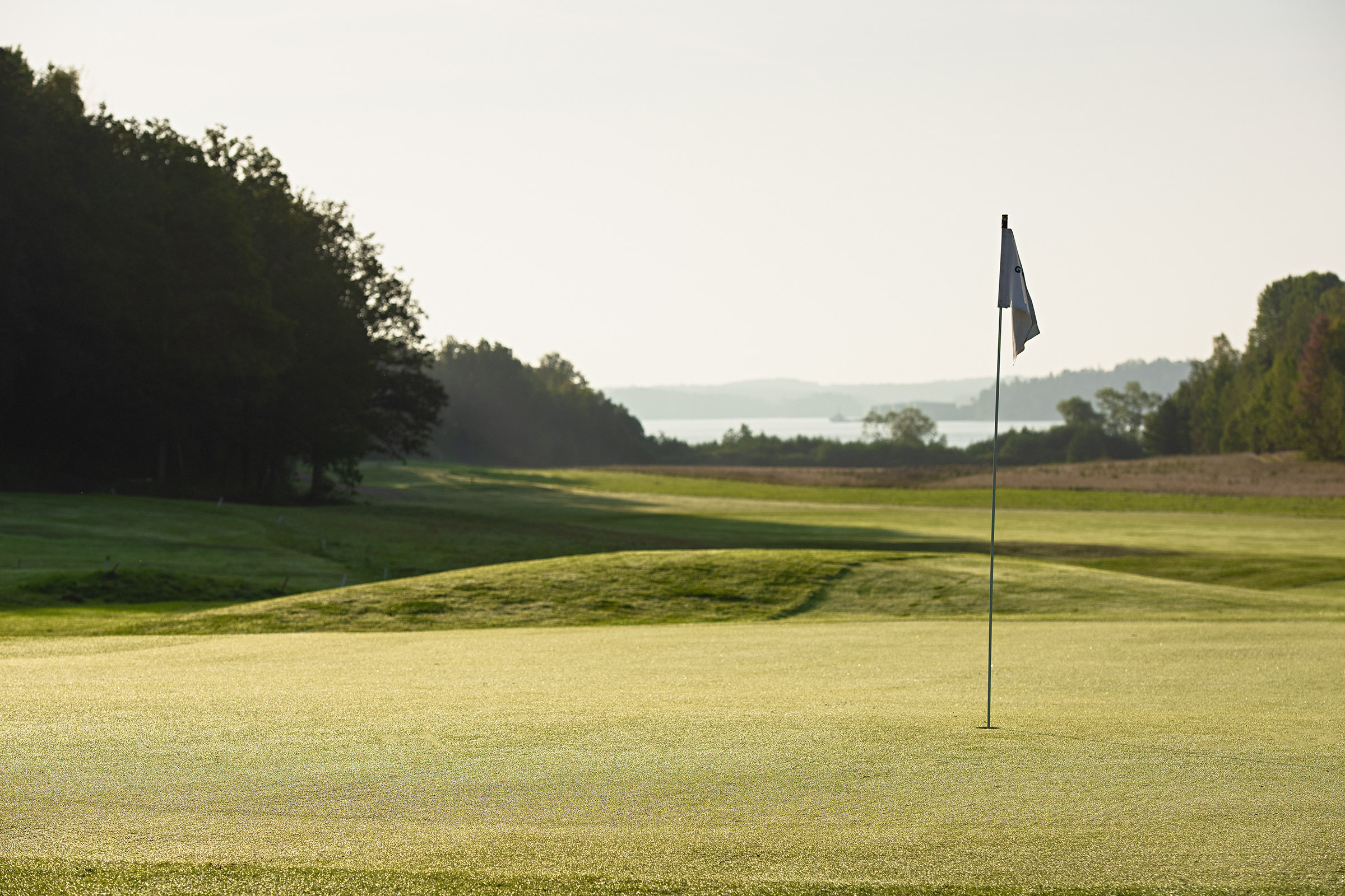 Sex av våra 15 kategorilag vann sina grupper i seriespelet 2025!